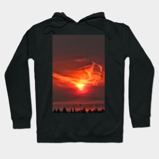 Phoenix rising Hoodie